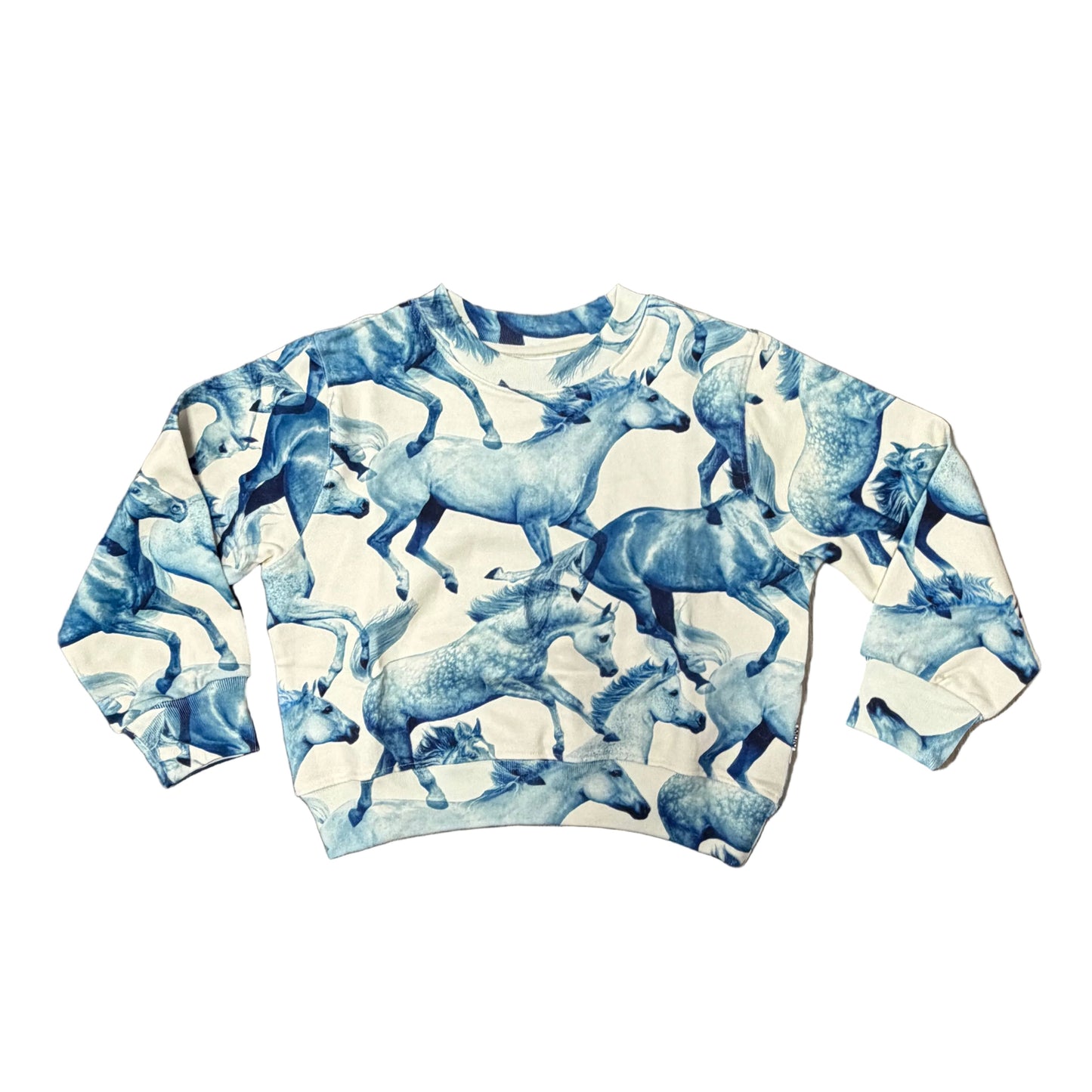 Blau Ponies Marge Sweatshirt
