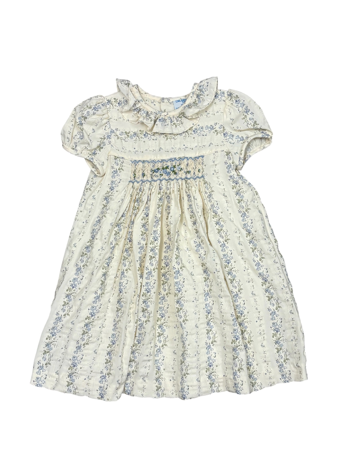 Blue Floral Autumn Tapestry Dress