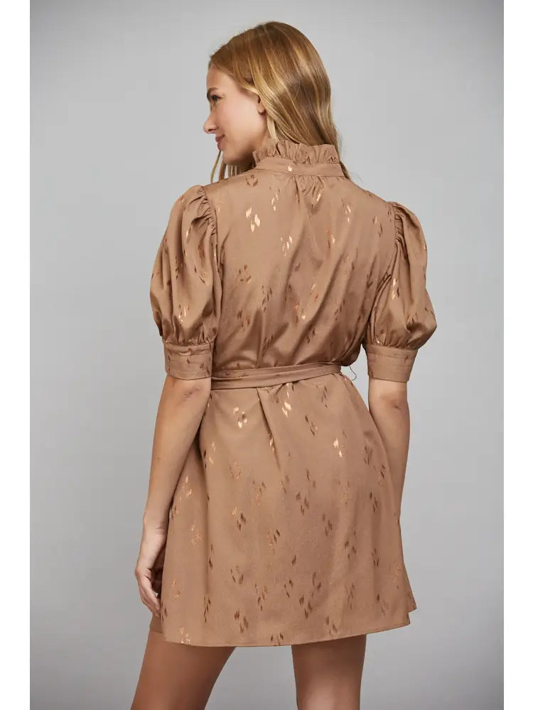 Ruffled High Neckline Button Front Self Tie Waist Dress