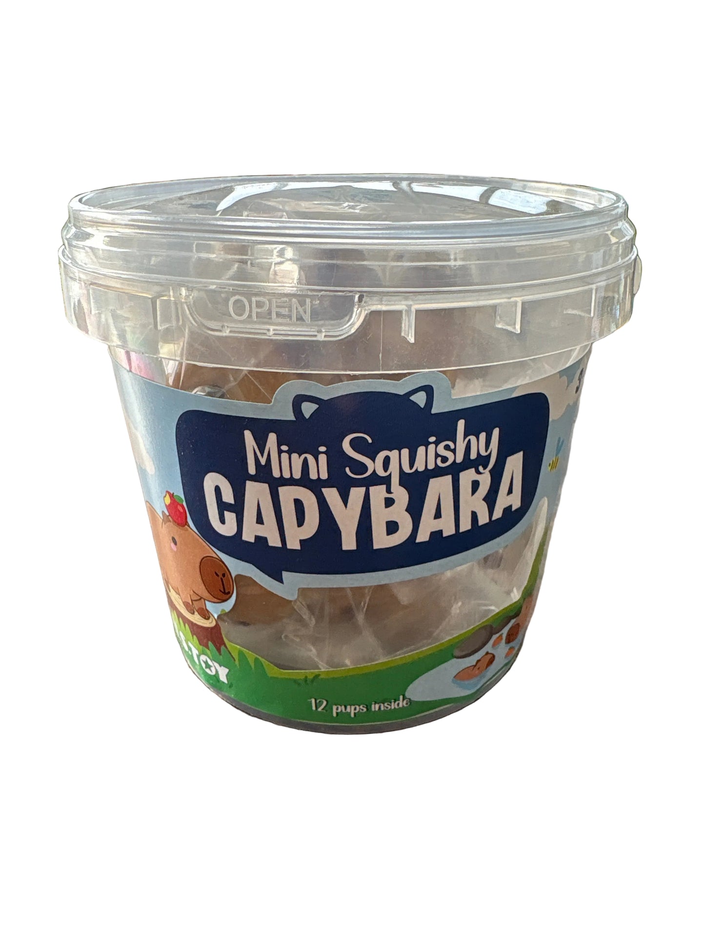 Mini Squishy Capybara Tub
