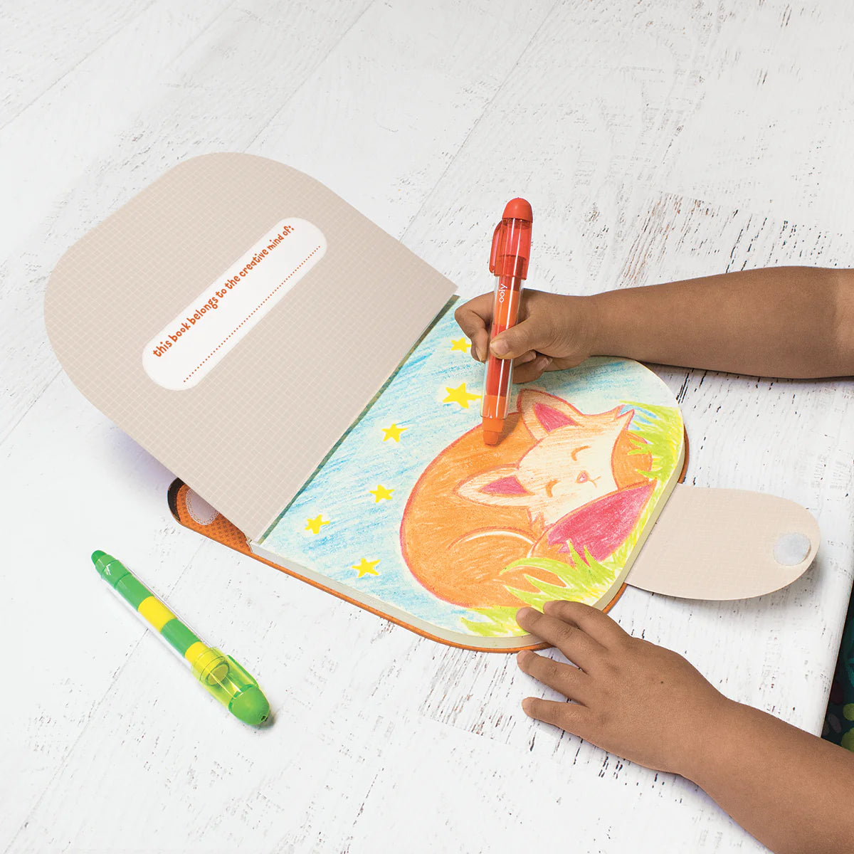 Carry Along Cat Sketchbook