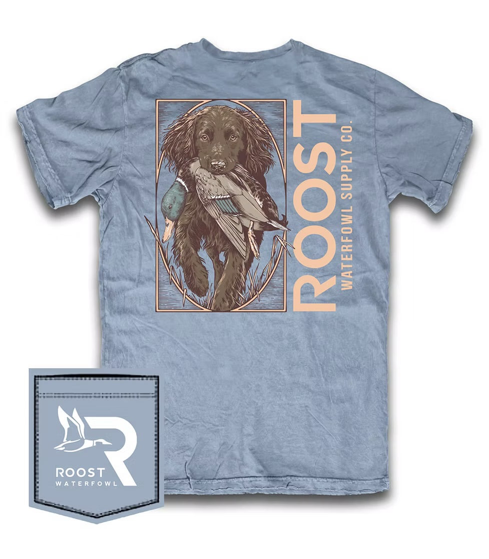 Roost Boykin Fetch