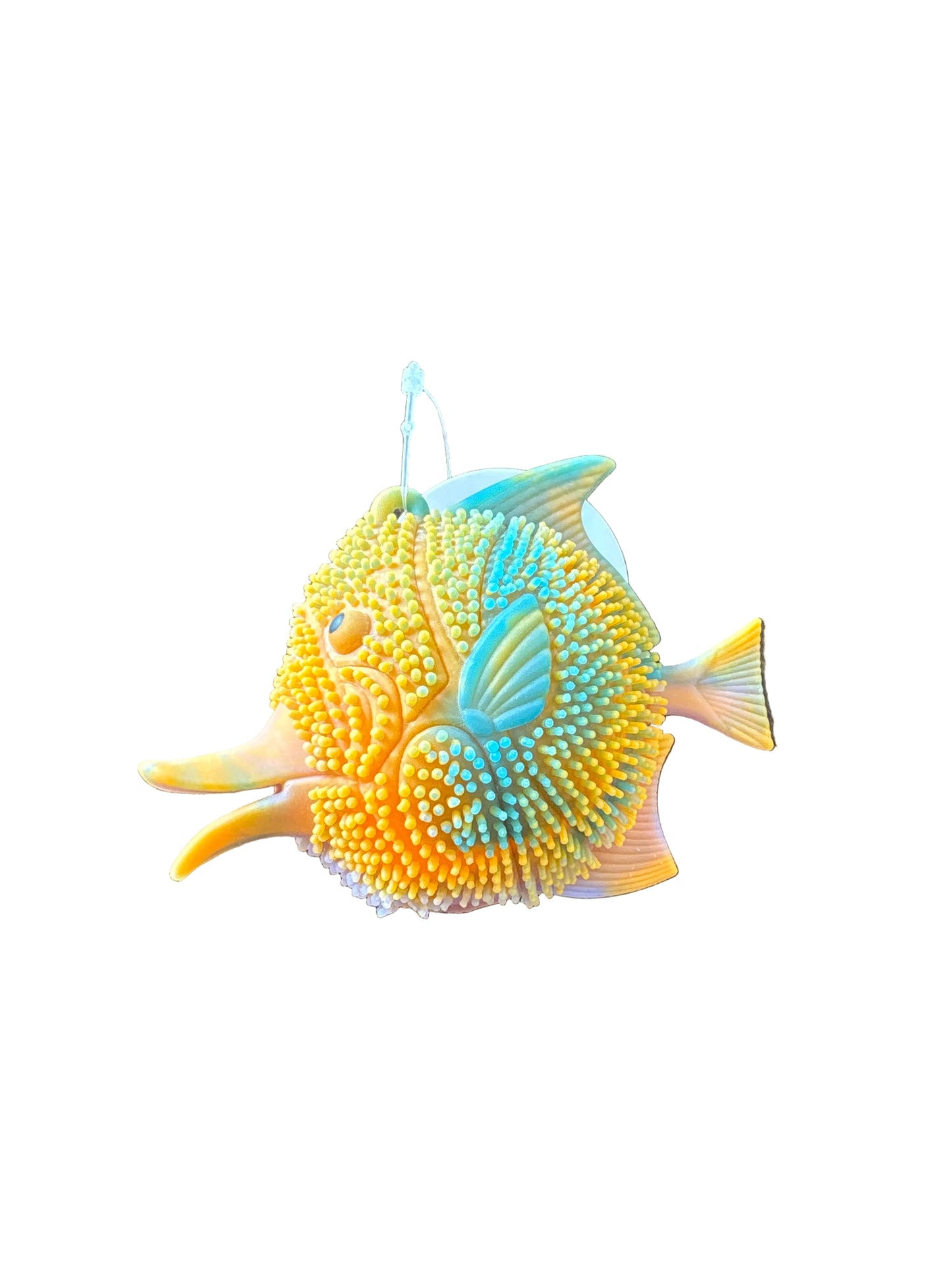 Light-Up Fishy