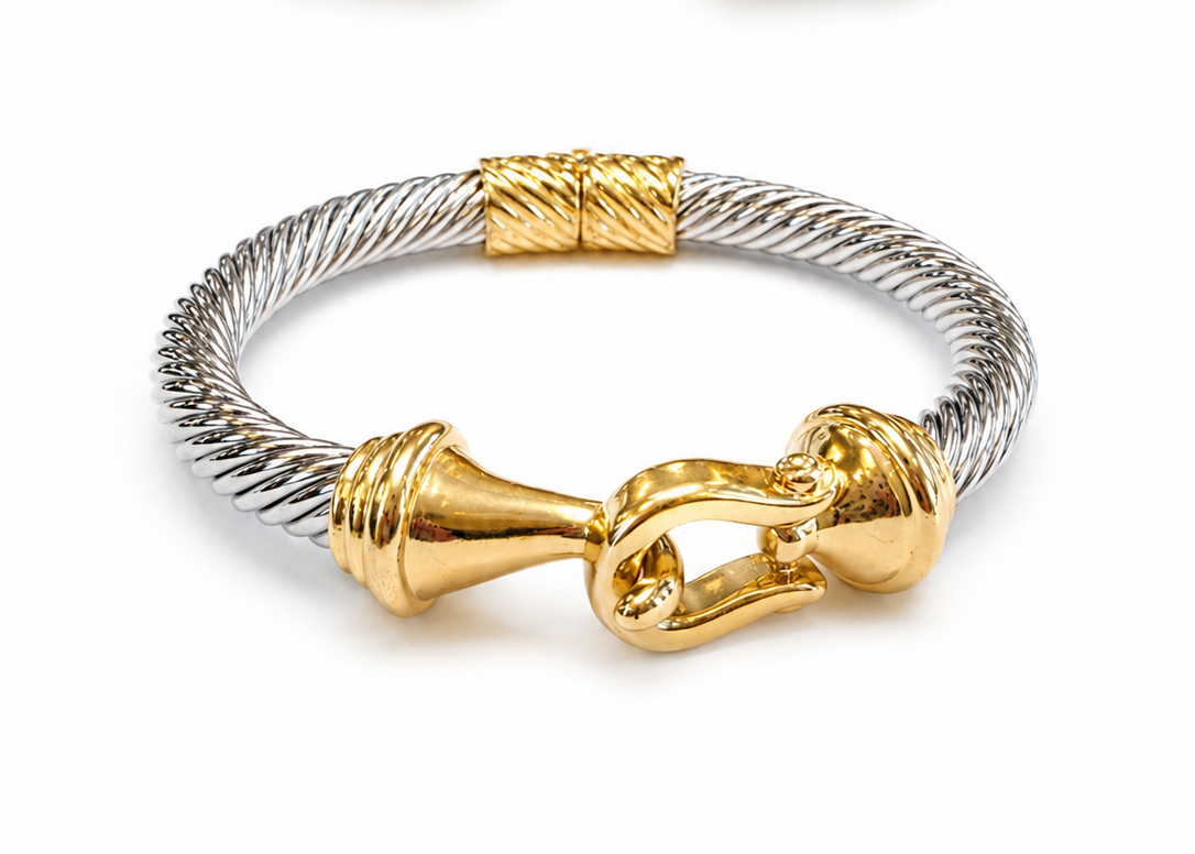 Mixed Metal Clasp Bracelet
