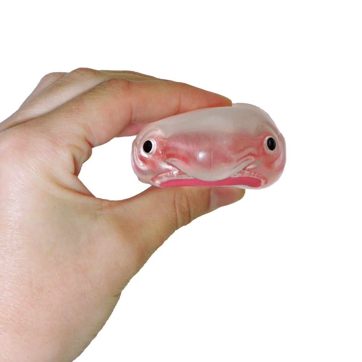 Itty Bitty Squidgy