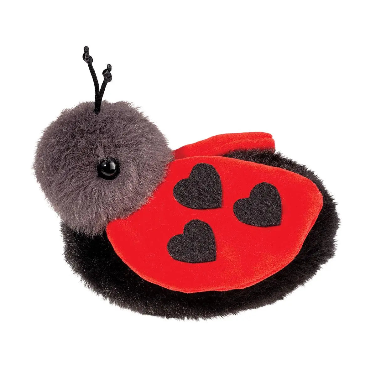 Love bug Ladybug