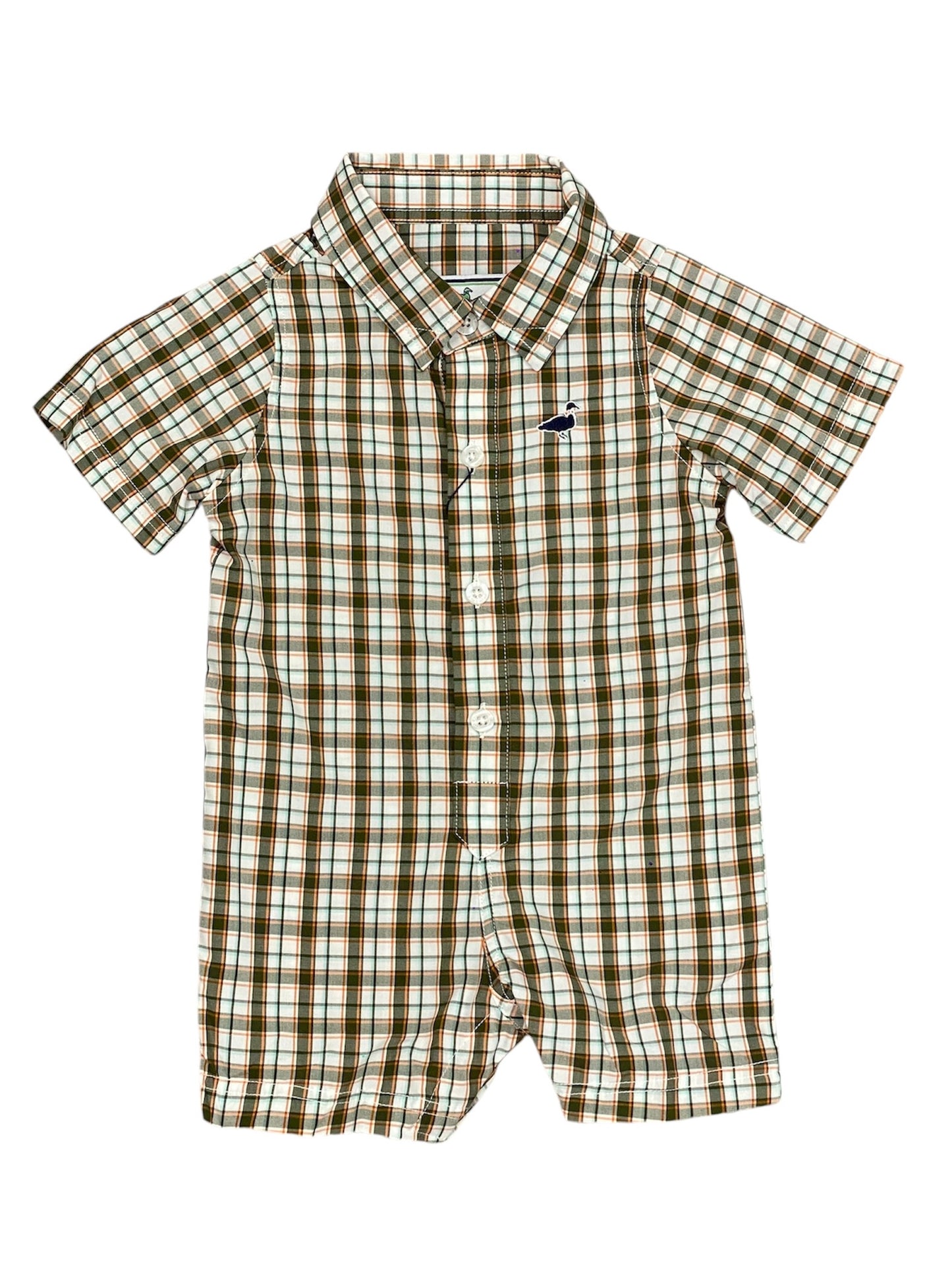 Olive Grove Shortall
