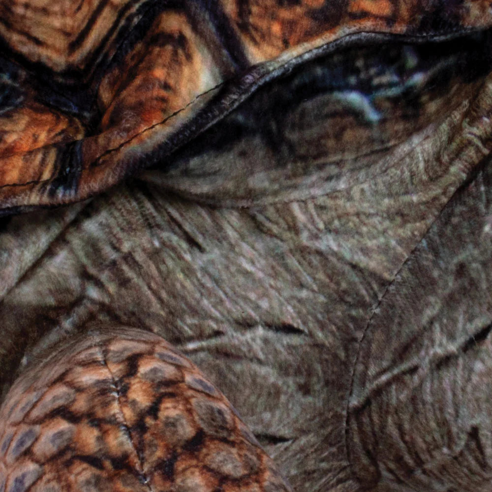 13β Desert Tortoise