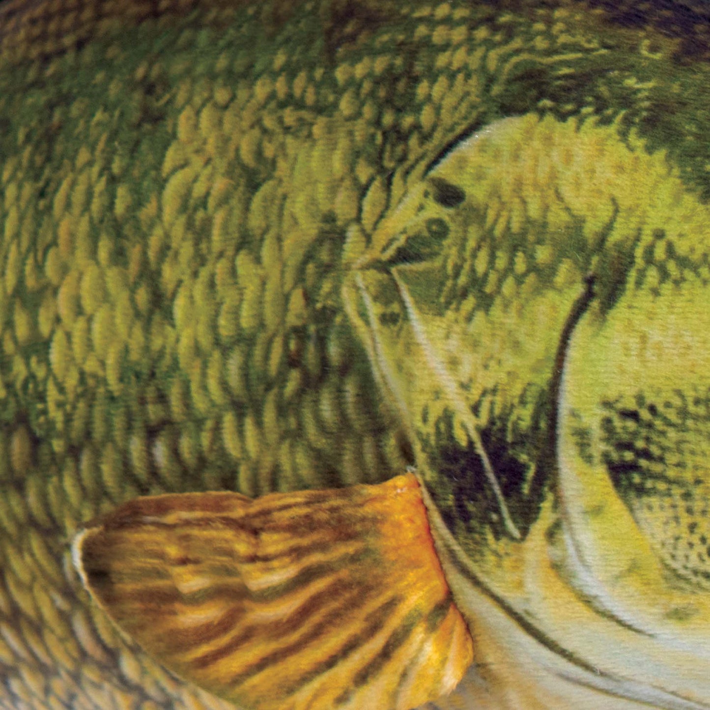 13β25β Small Mouth Bass