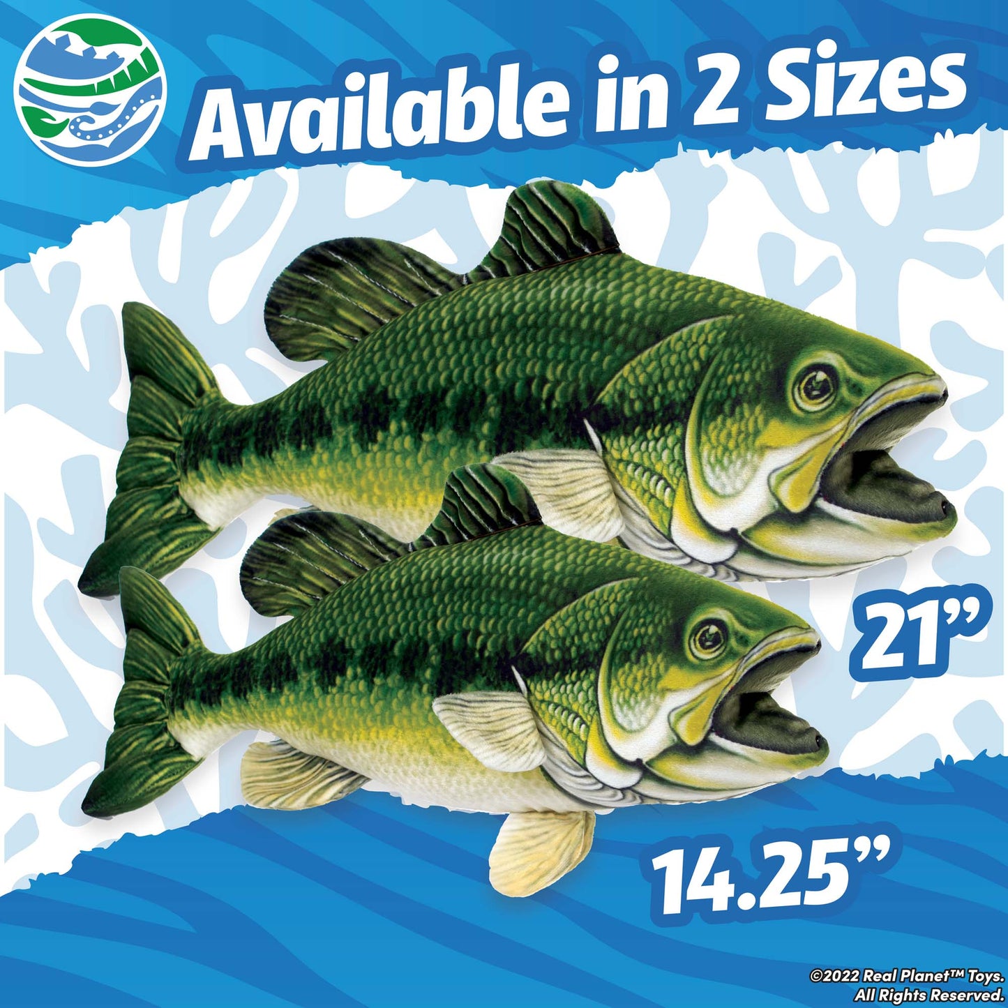 21” Green Large Mouth Bass