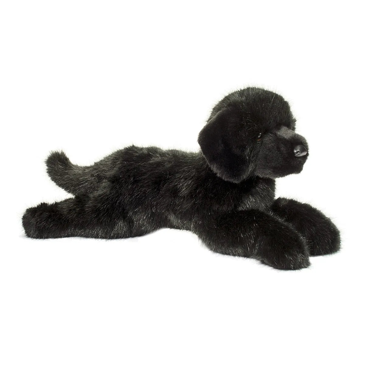 Jack DLux Black Lab