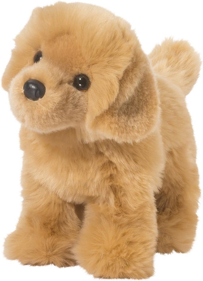 Chap Golden Retriever