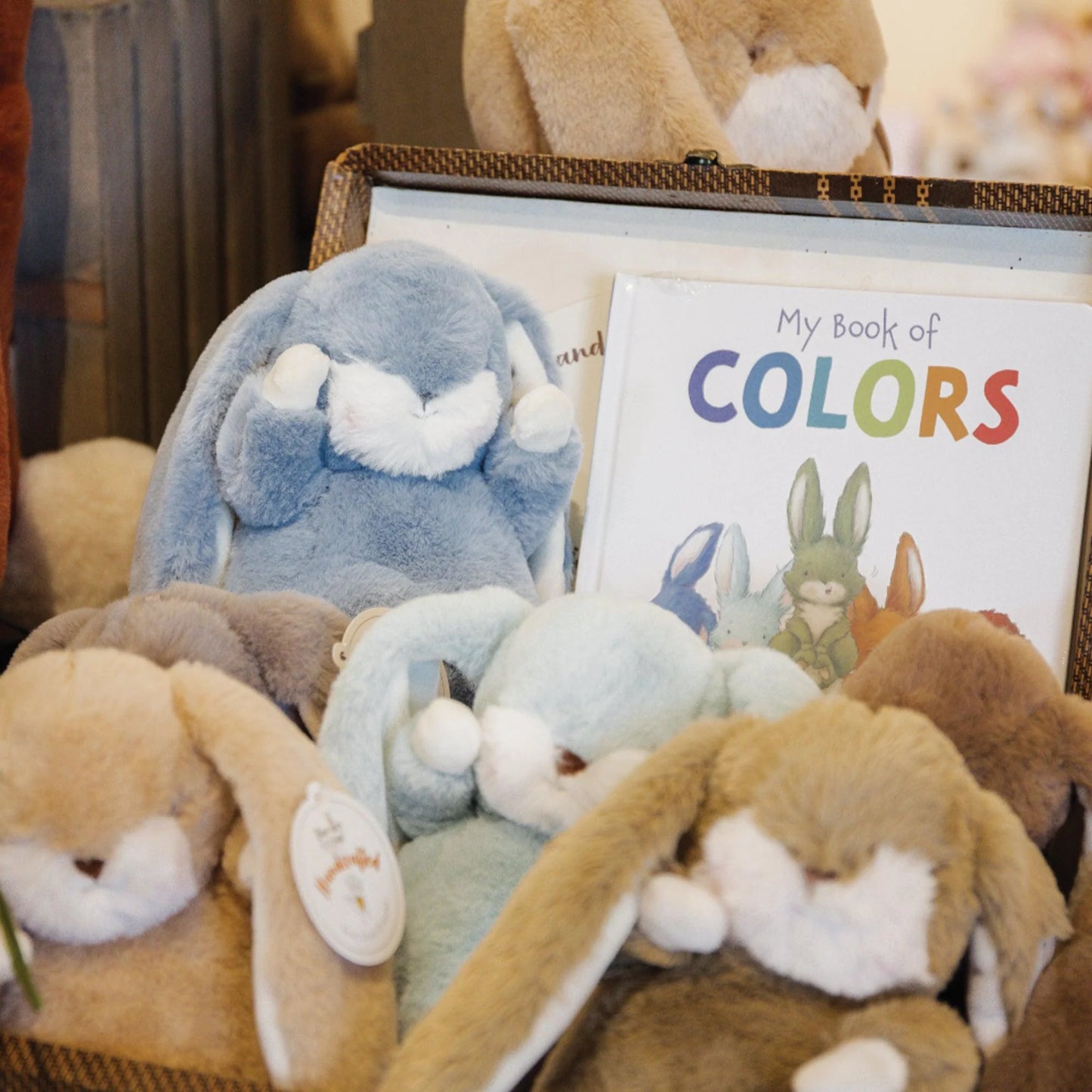 My Book of Colors
