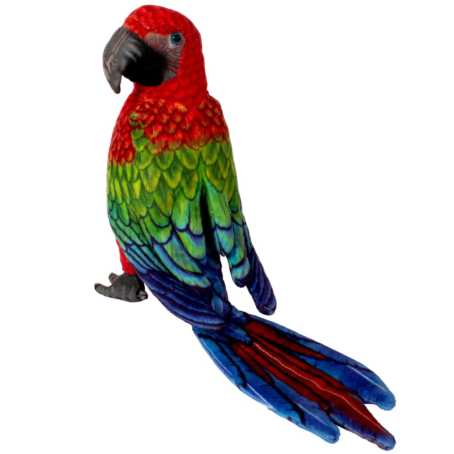12” Red Parrot