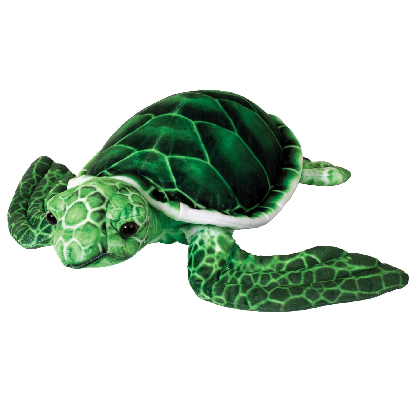 20” Green Sea Turtle