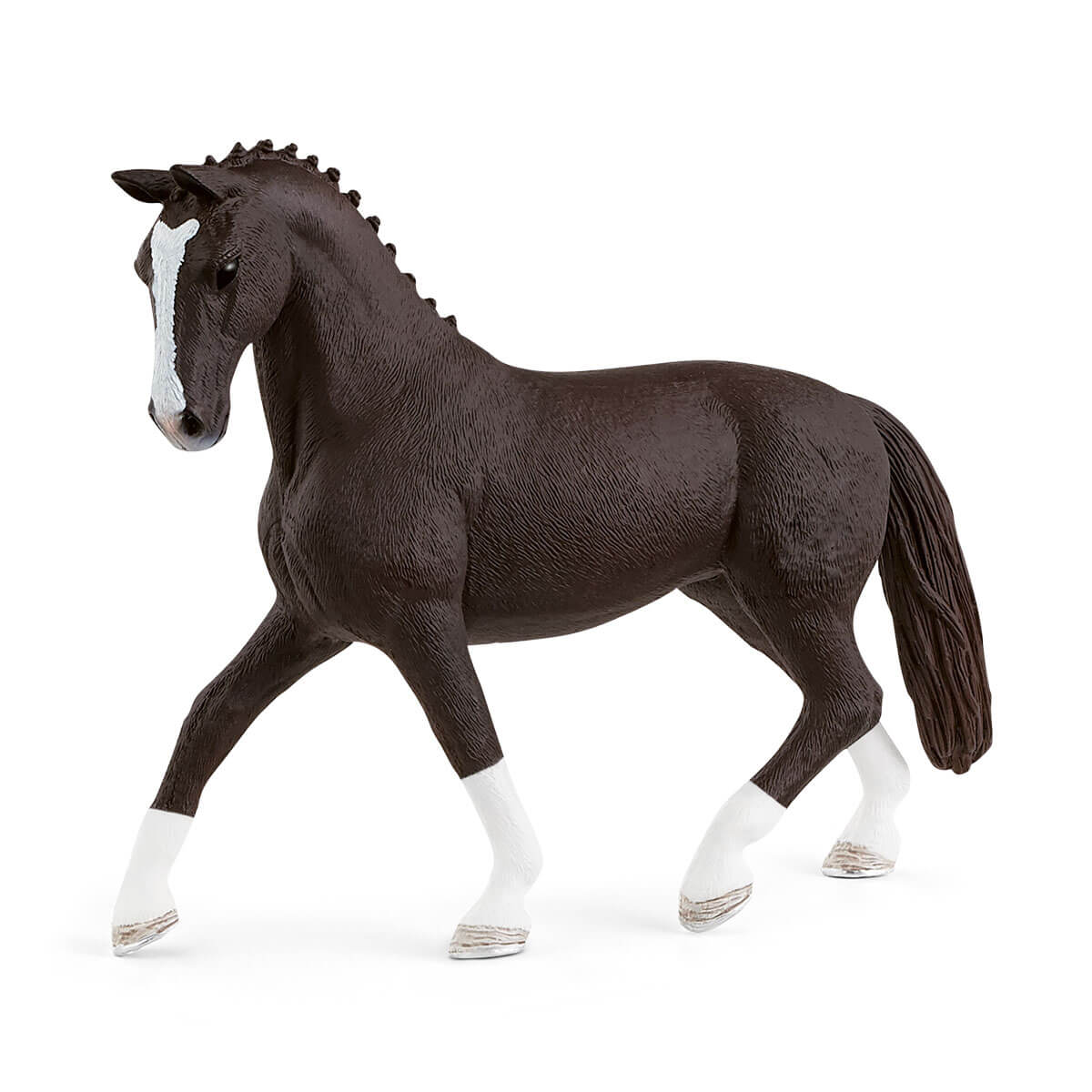 Black Hanoverian Mare