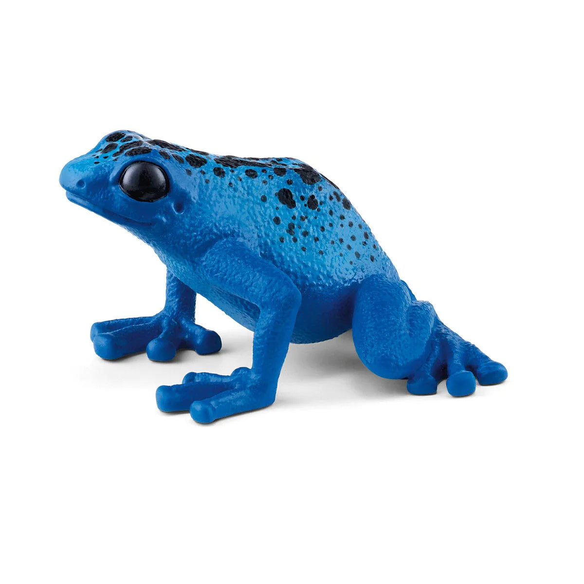 Blue Poison Dart frog