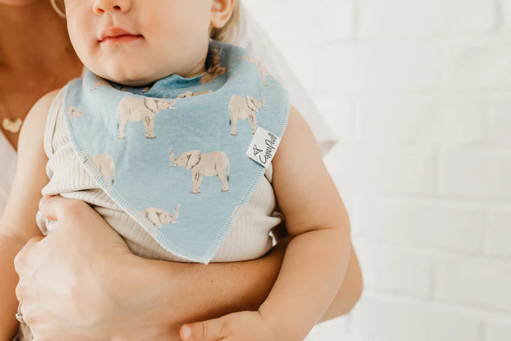 Peanut Bib Set