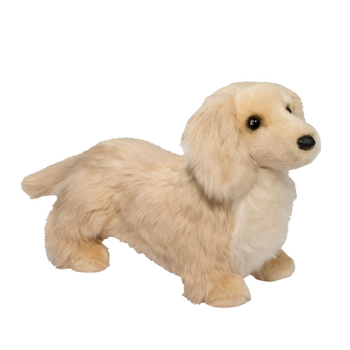 Haisley Golden Dachshund