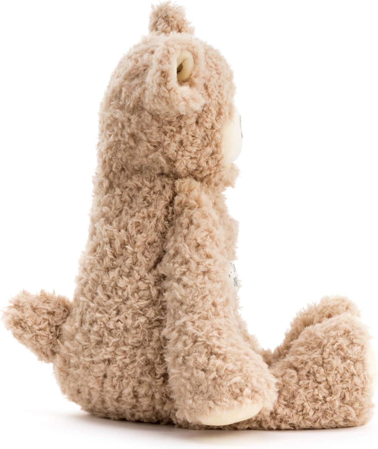 Sweet Dreams Bear Plush