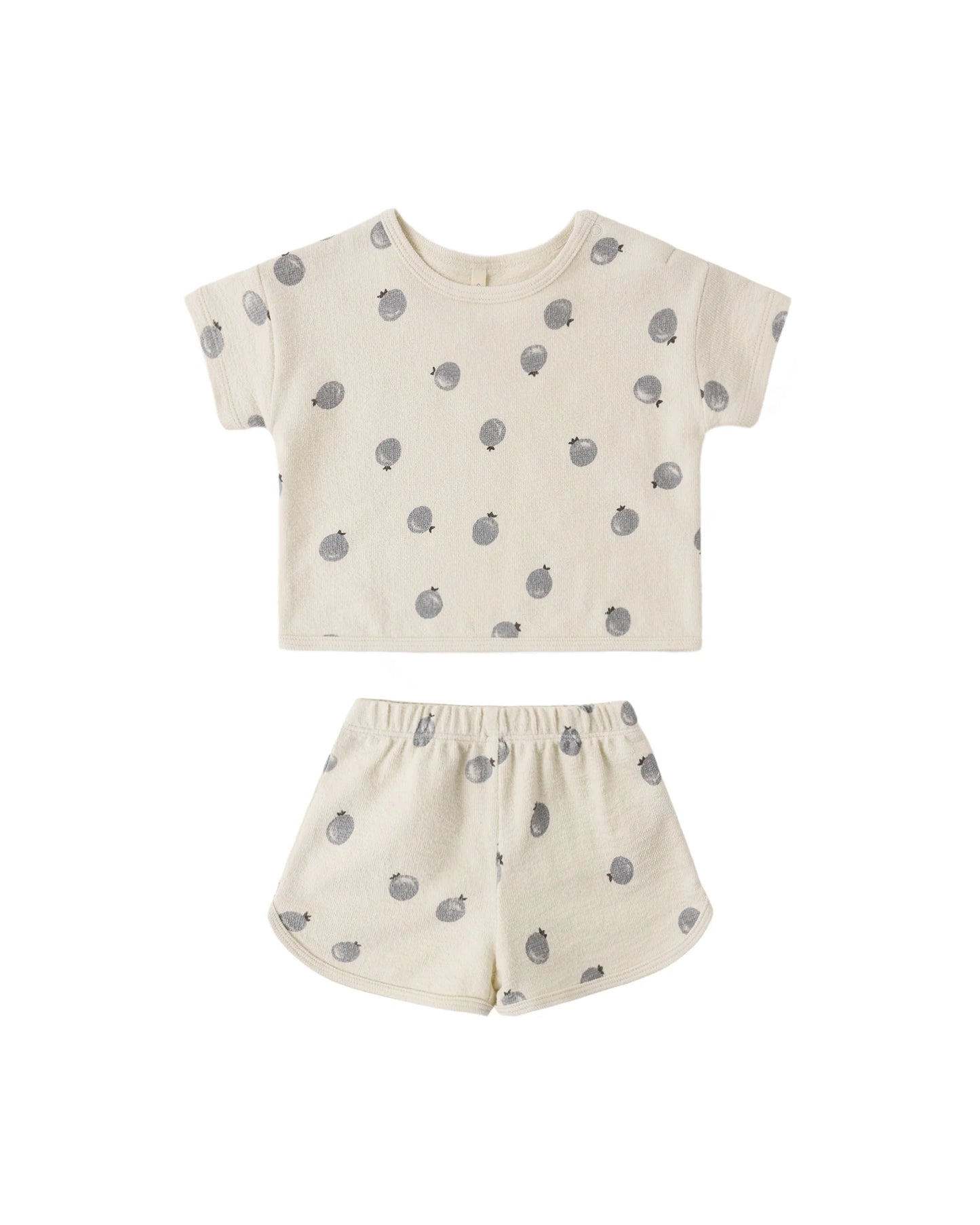 Blueberries Spongy Play Set