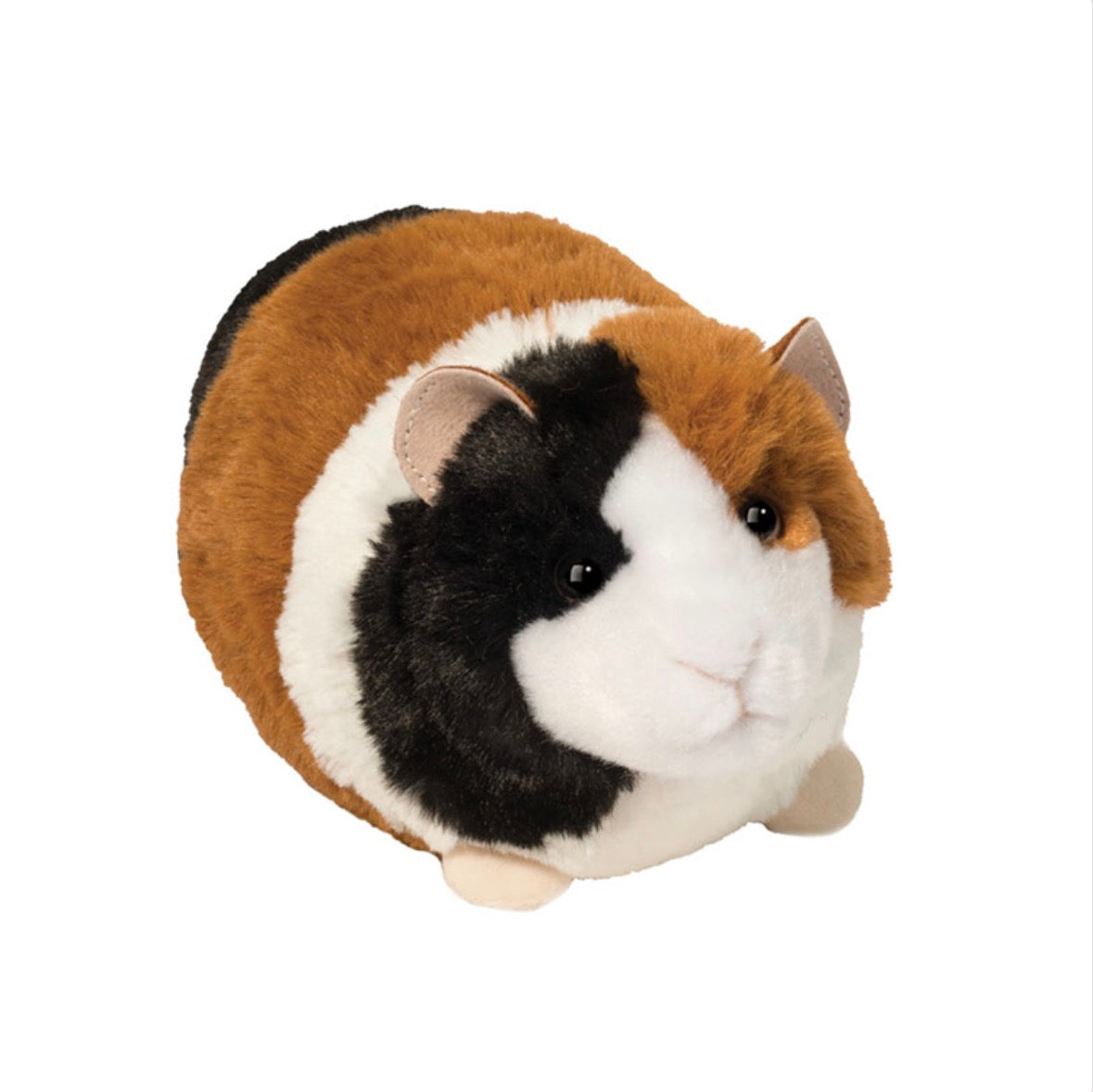 Pippin Guinea Pig