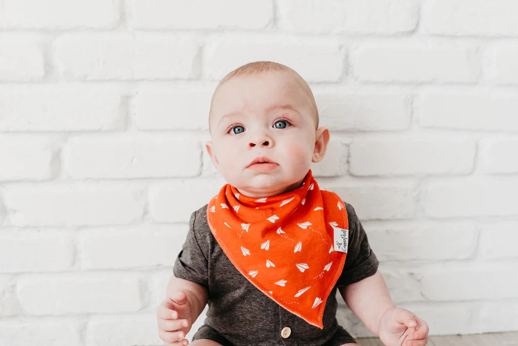 Ace Bandana Bib Set