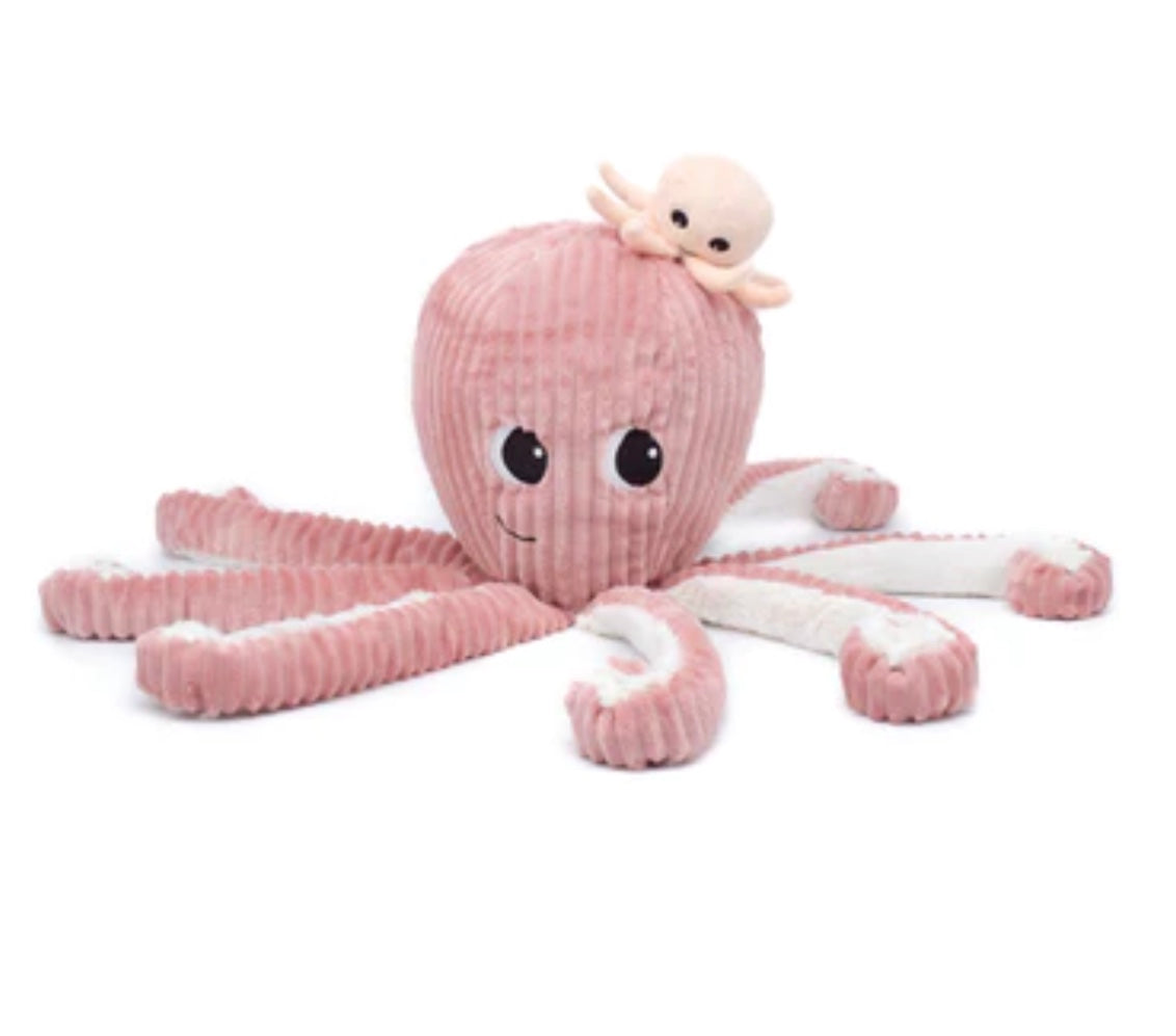 Baby Pink Octopus
