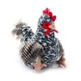 Barred Rock Chicken White 12”