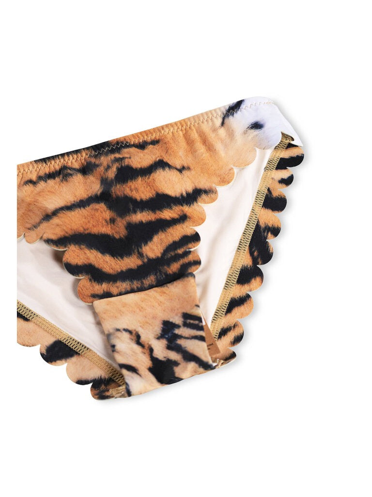 Wild Tiger Swimsuit