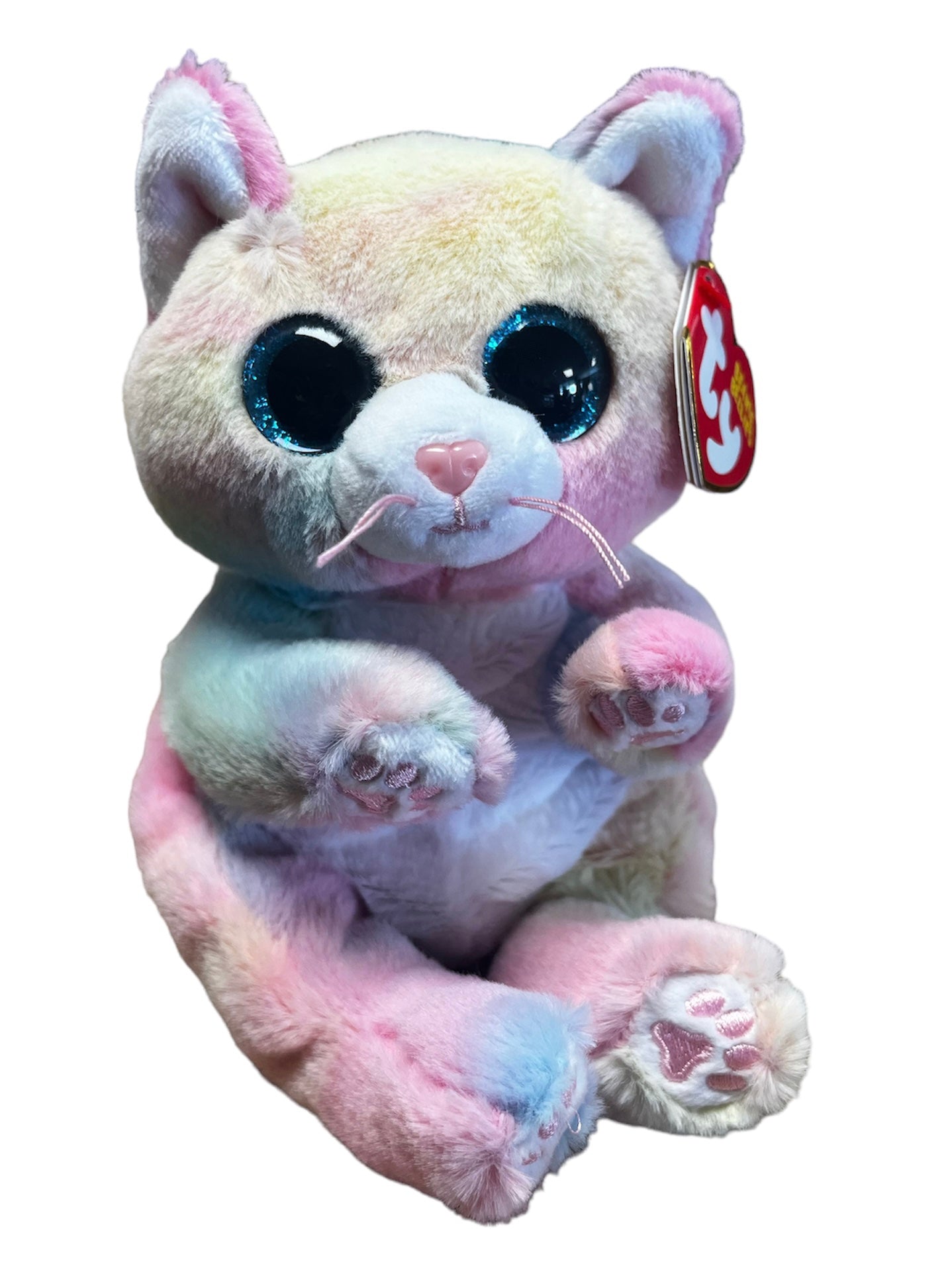 Pastel Rainbow Cat – Cutie Patootie