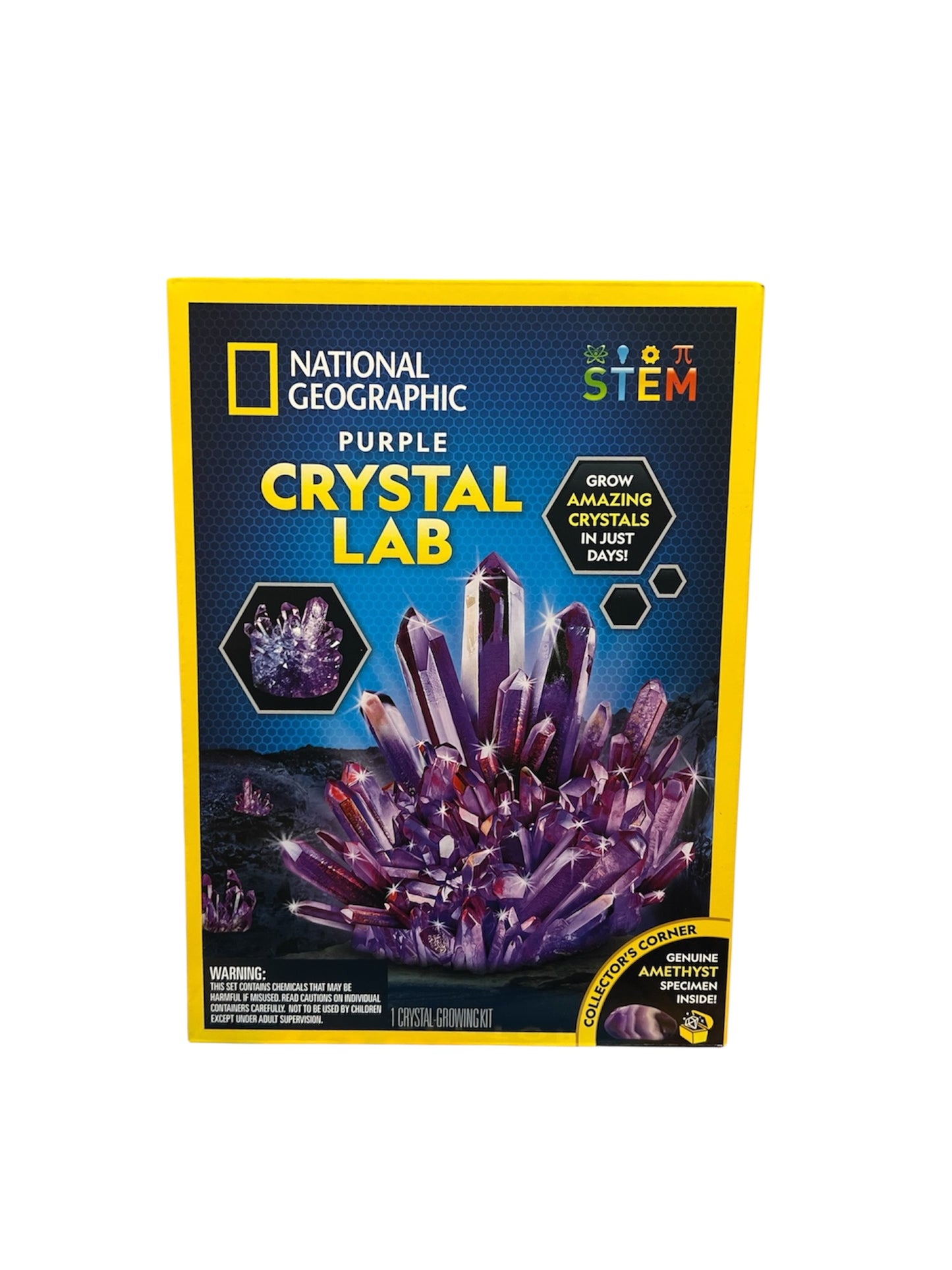 Purple Crystal Growing Lab