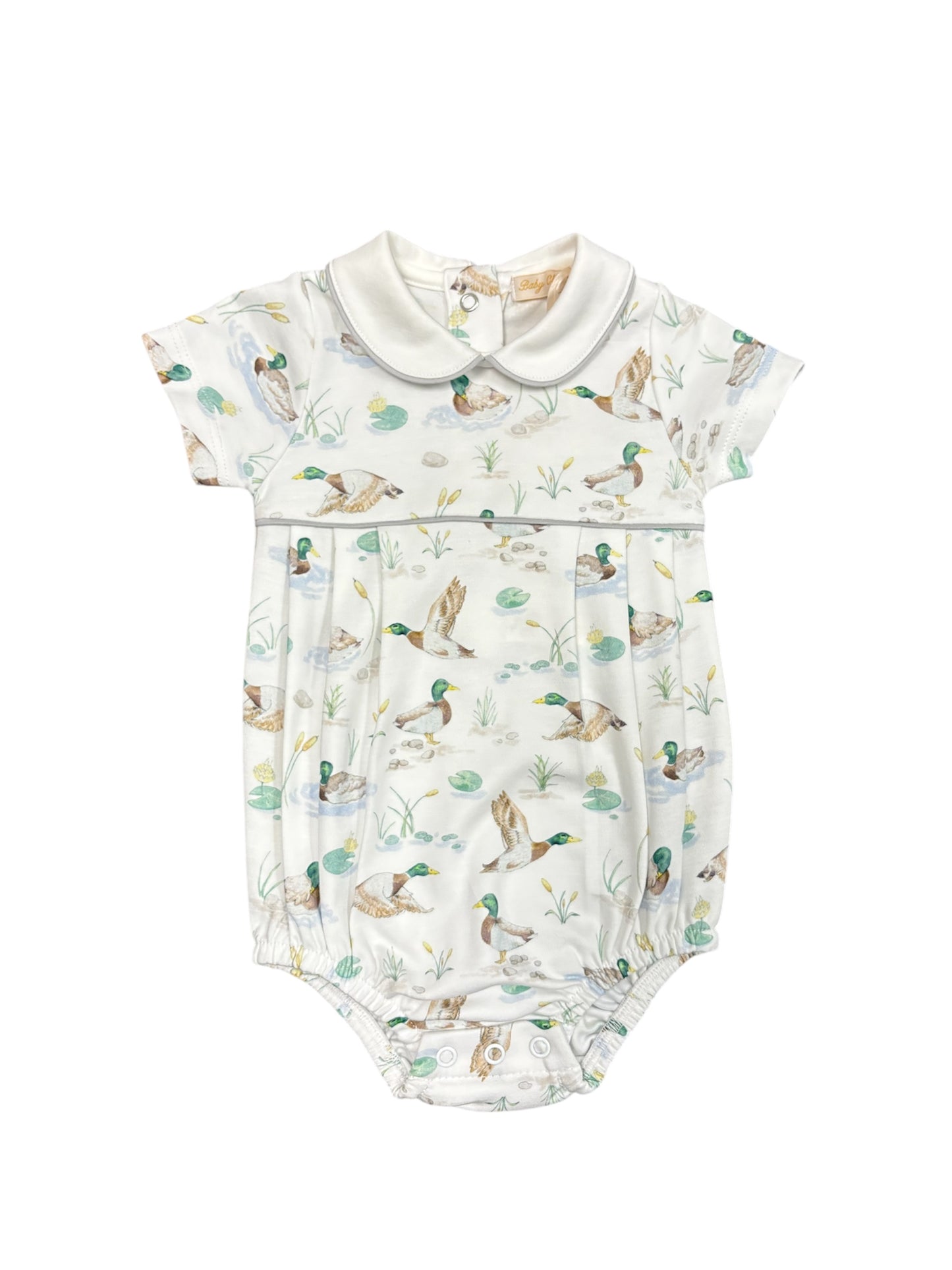 Mallard Ducks Bubble W/ Collar