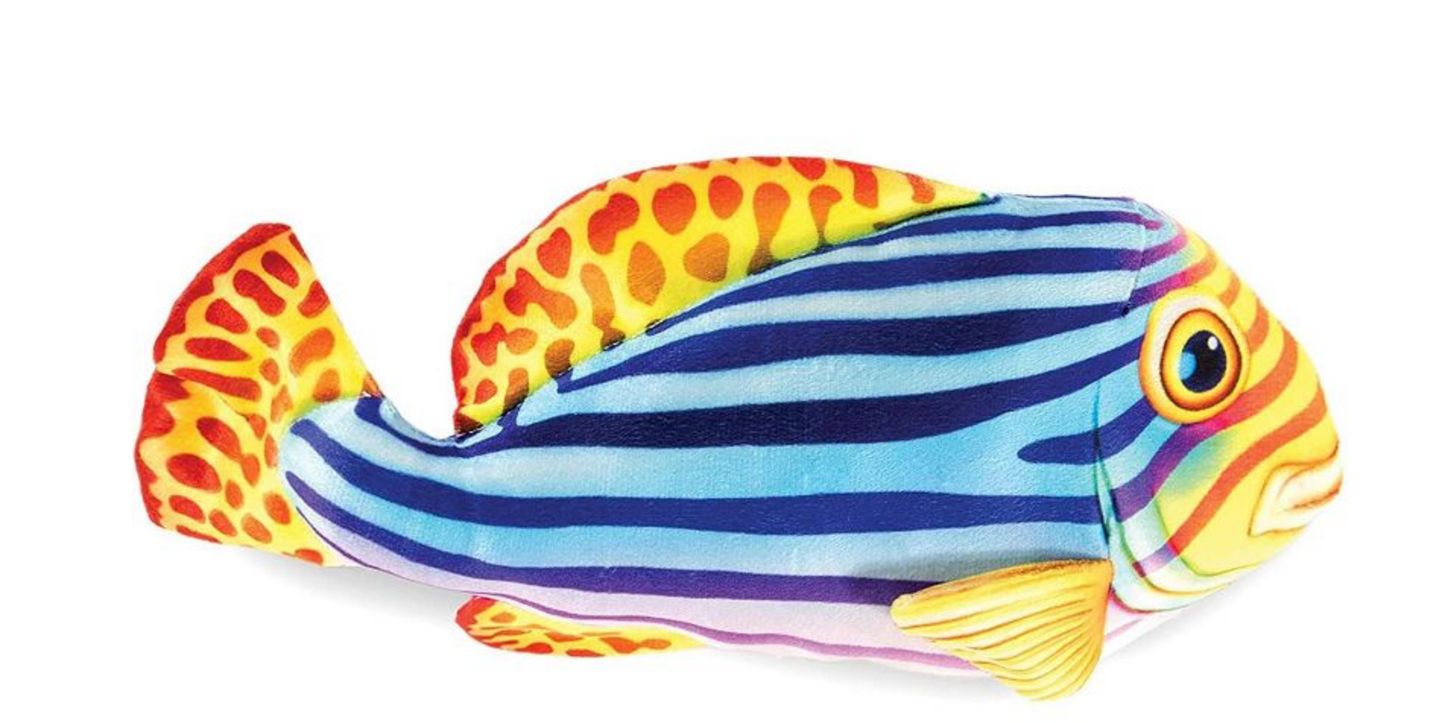 13.5" Oriental Sweeplips Fish