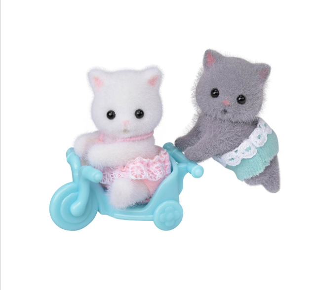 Persian Cat Twins