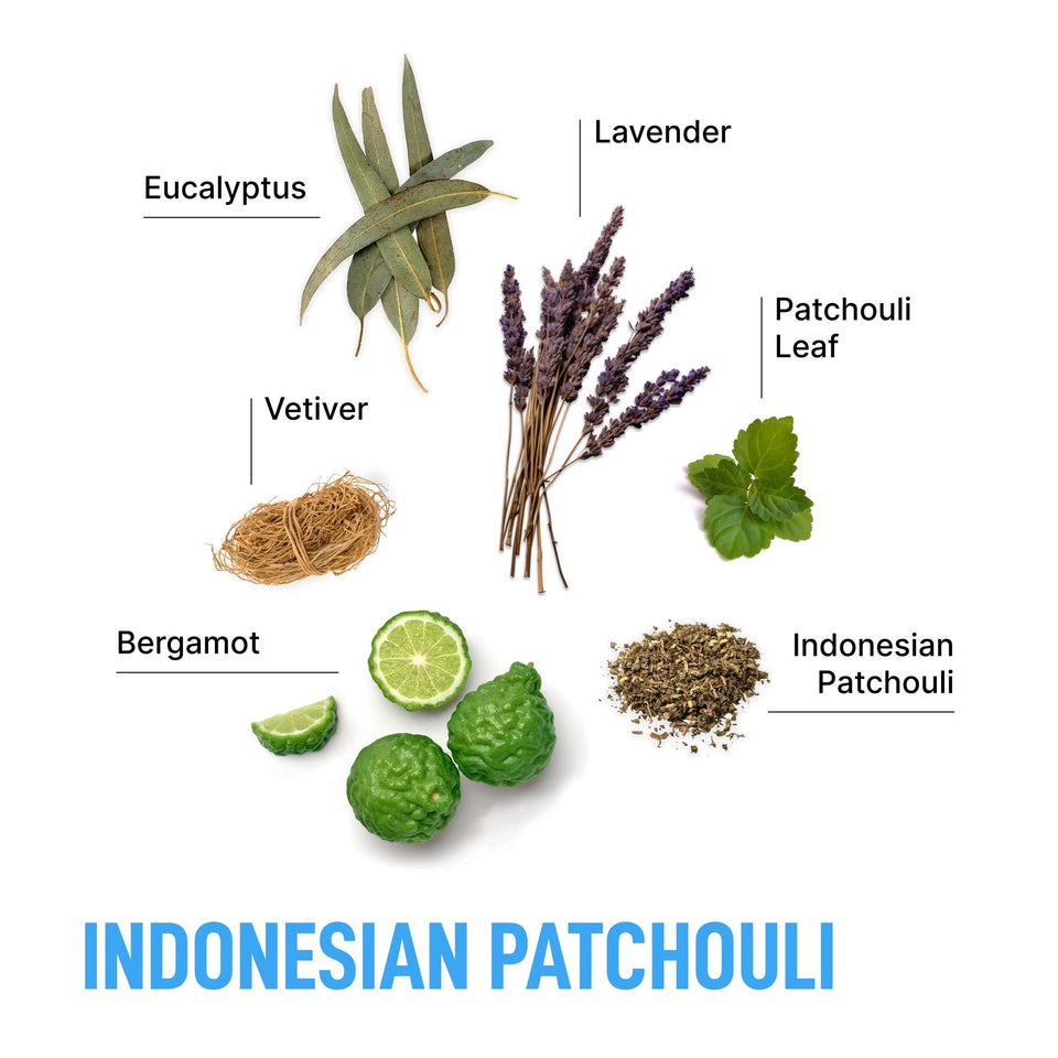 Laundry Sauce Dryer Sheets - Indonesian Patchouli