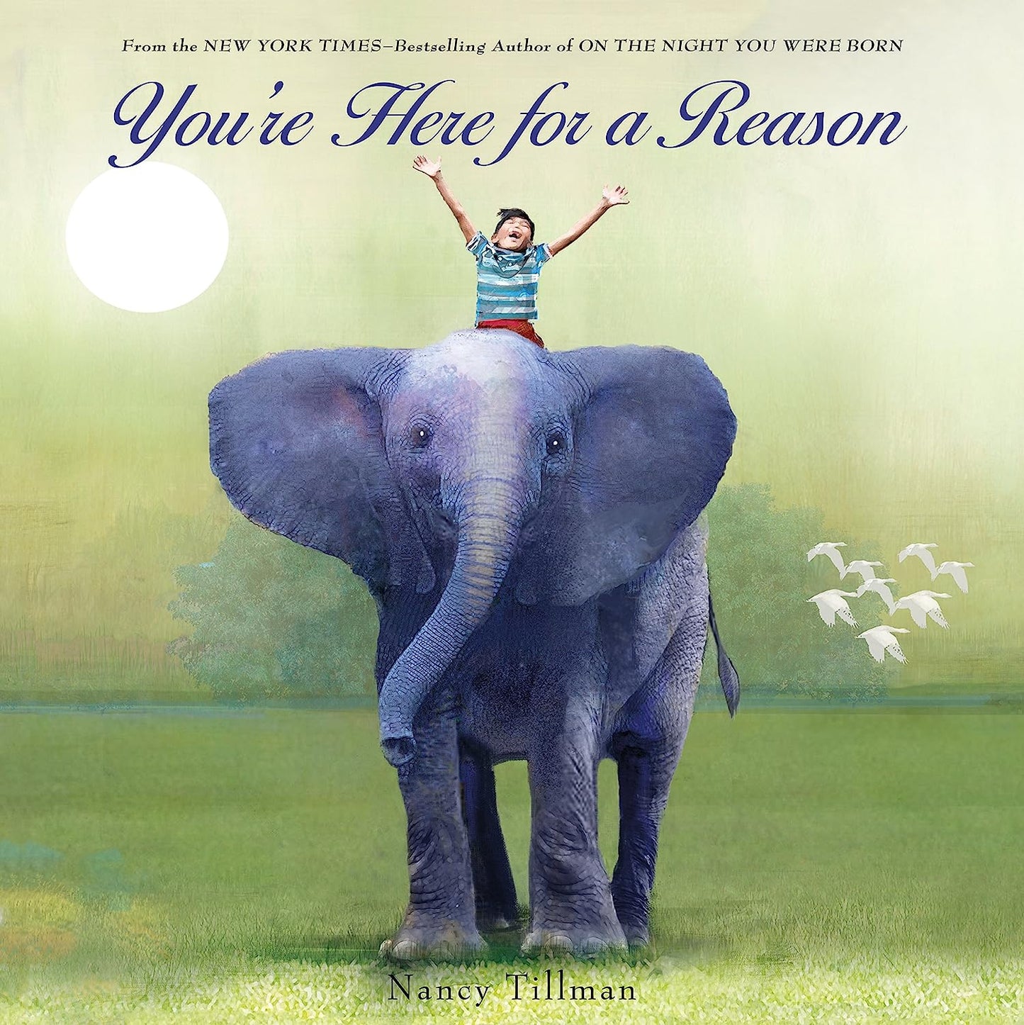 You’re Here For A Reason Book