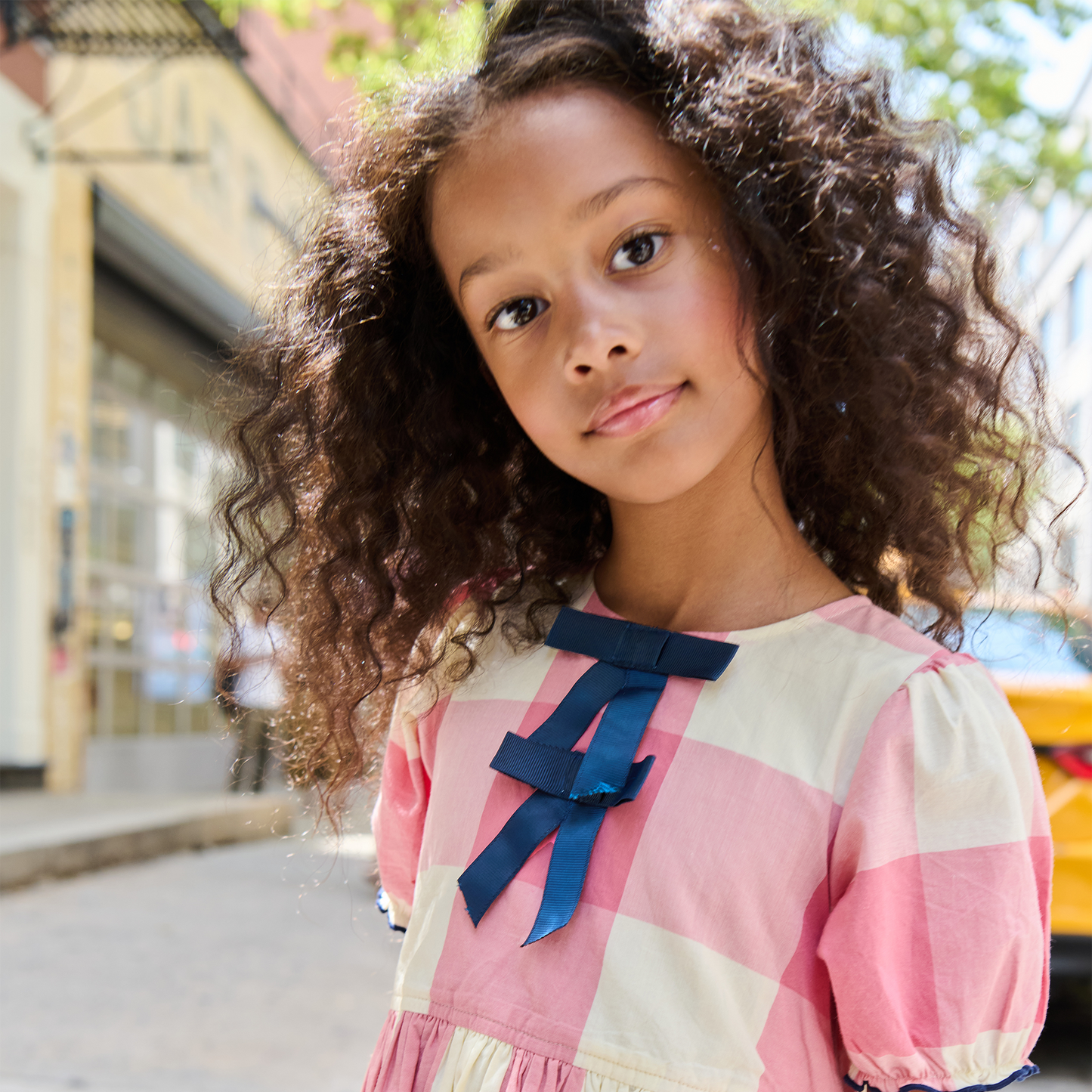 Pink Checks Hermione Dress