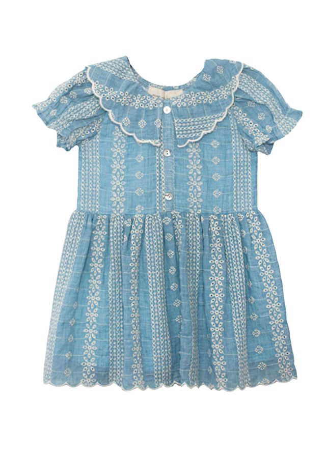 Delicate Blue Dress