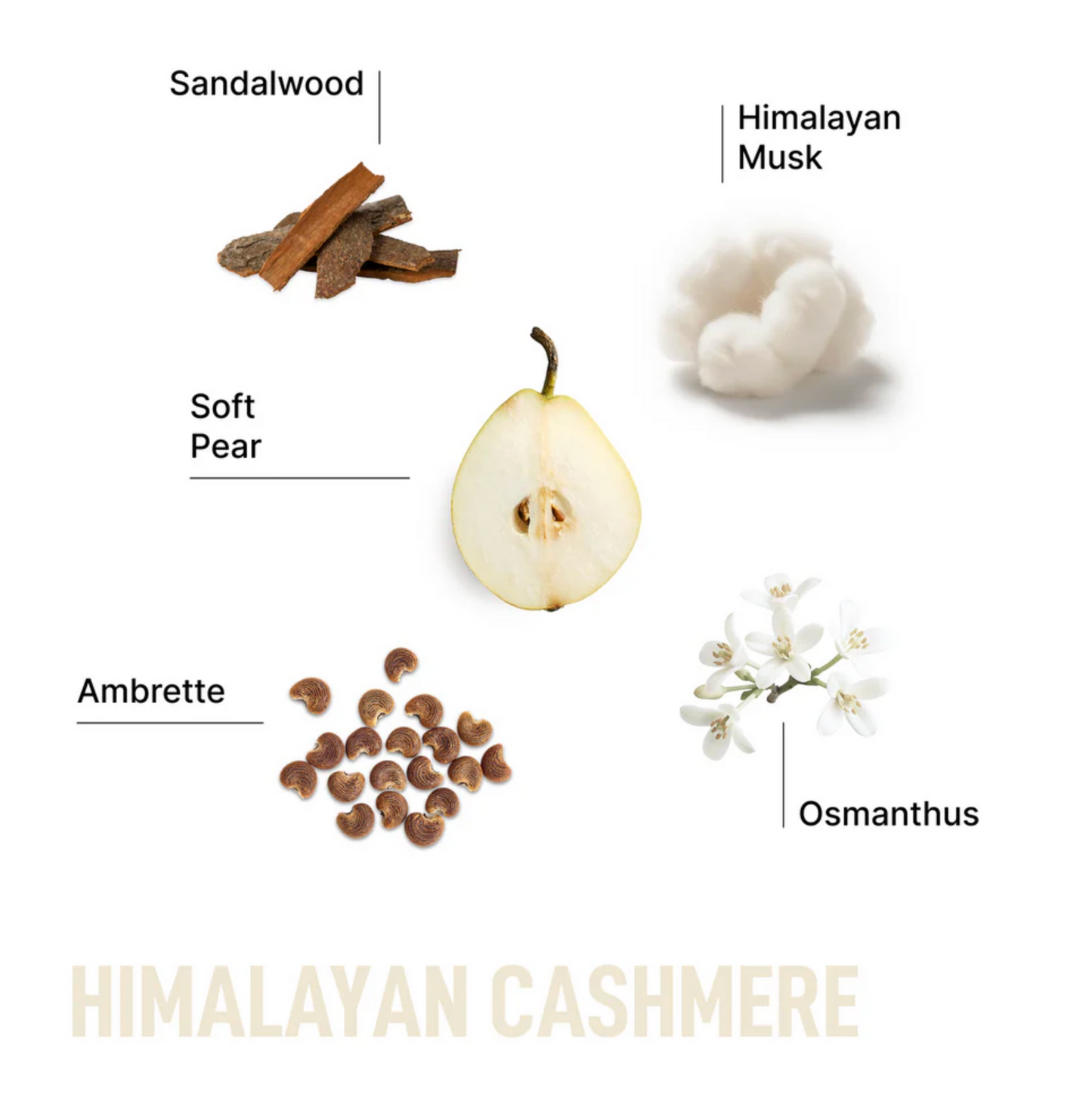 Laundry Sauce Laundry Pods - Himalayan Cashmere