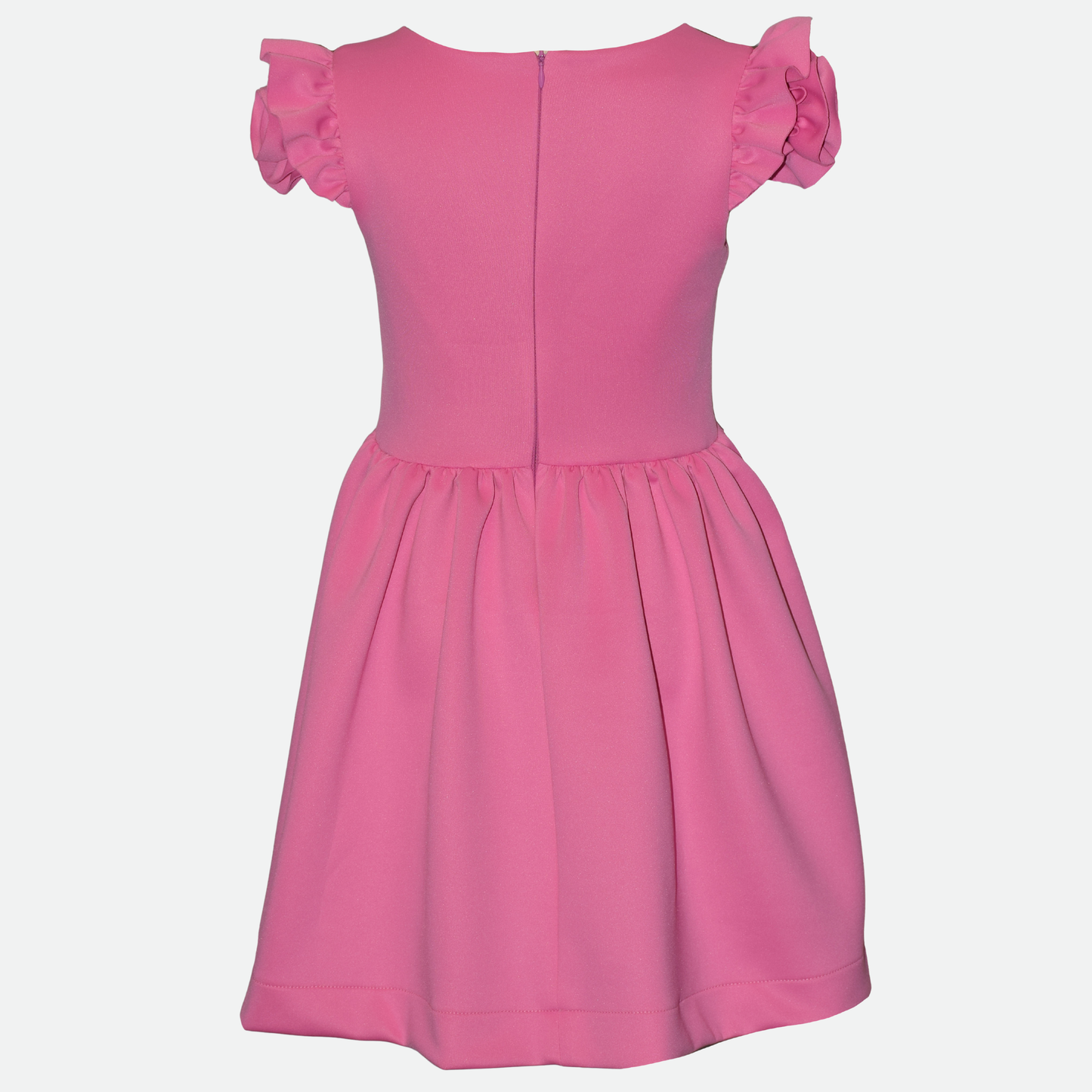 Isabella Rosette Skater Dress
