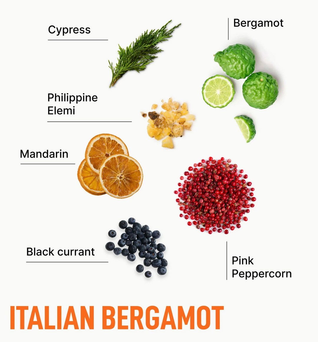 Laundry Sauce Dryer Sheets - Italian Bergamot