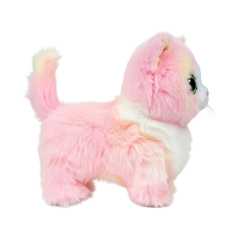 Small Lady Cat