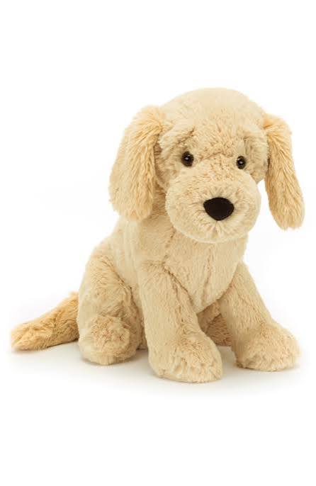 Tilly Golden Retriever