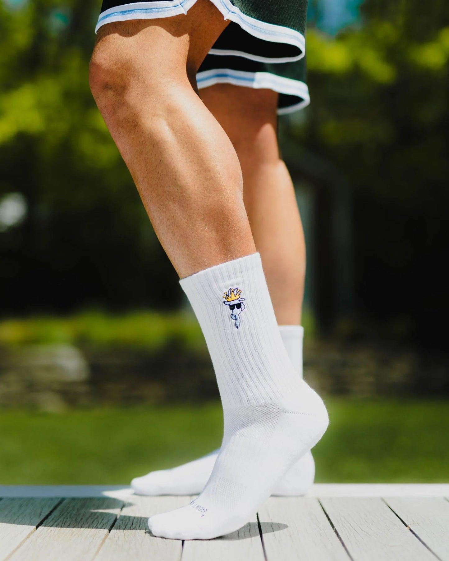 OG Goat Socks - 6pk