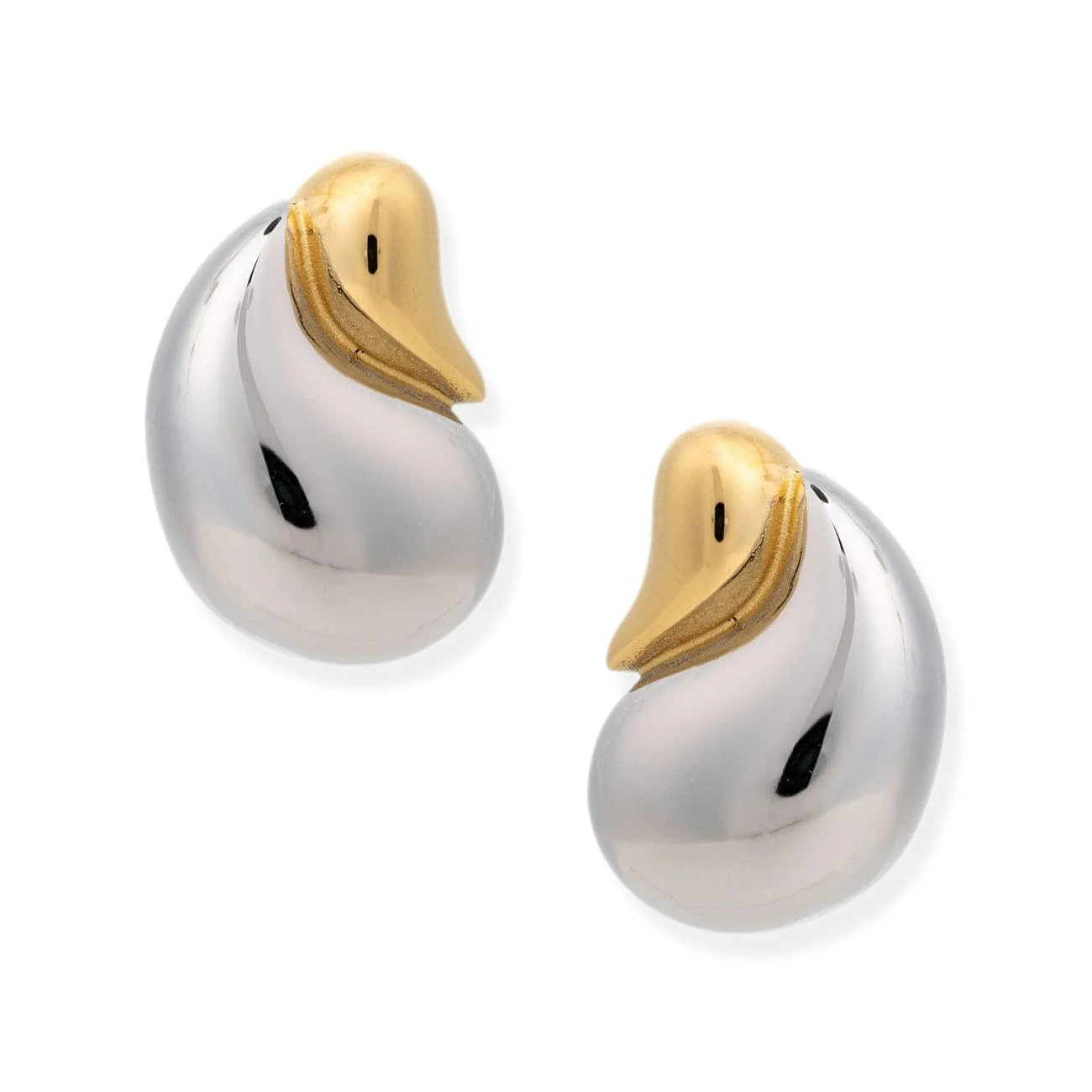 Drop Two Tone Earrings