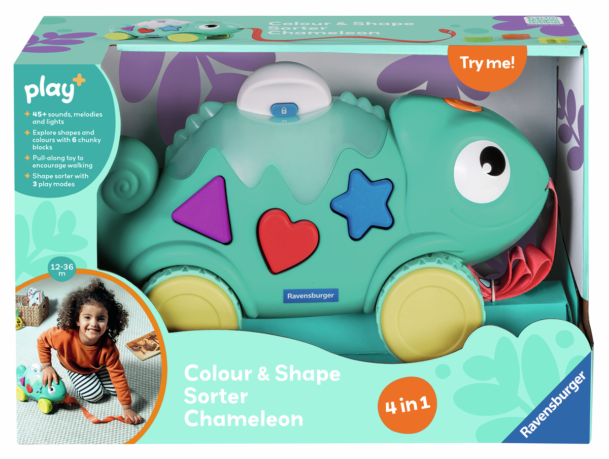 Color & Shape Sorter: Chameleon