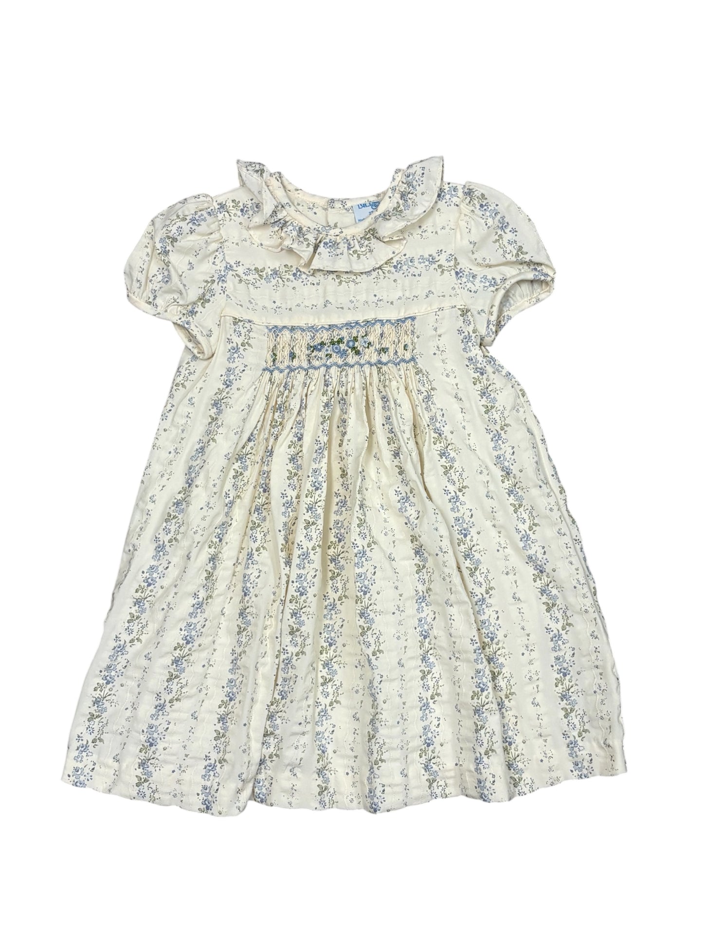 Blue Floral Autumn Tapestry Dress