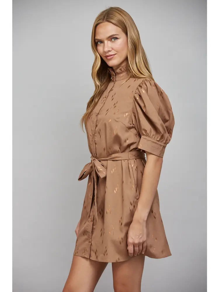 Ruffled High Neckline Button Front Self Tie Waist Dress