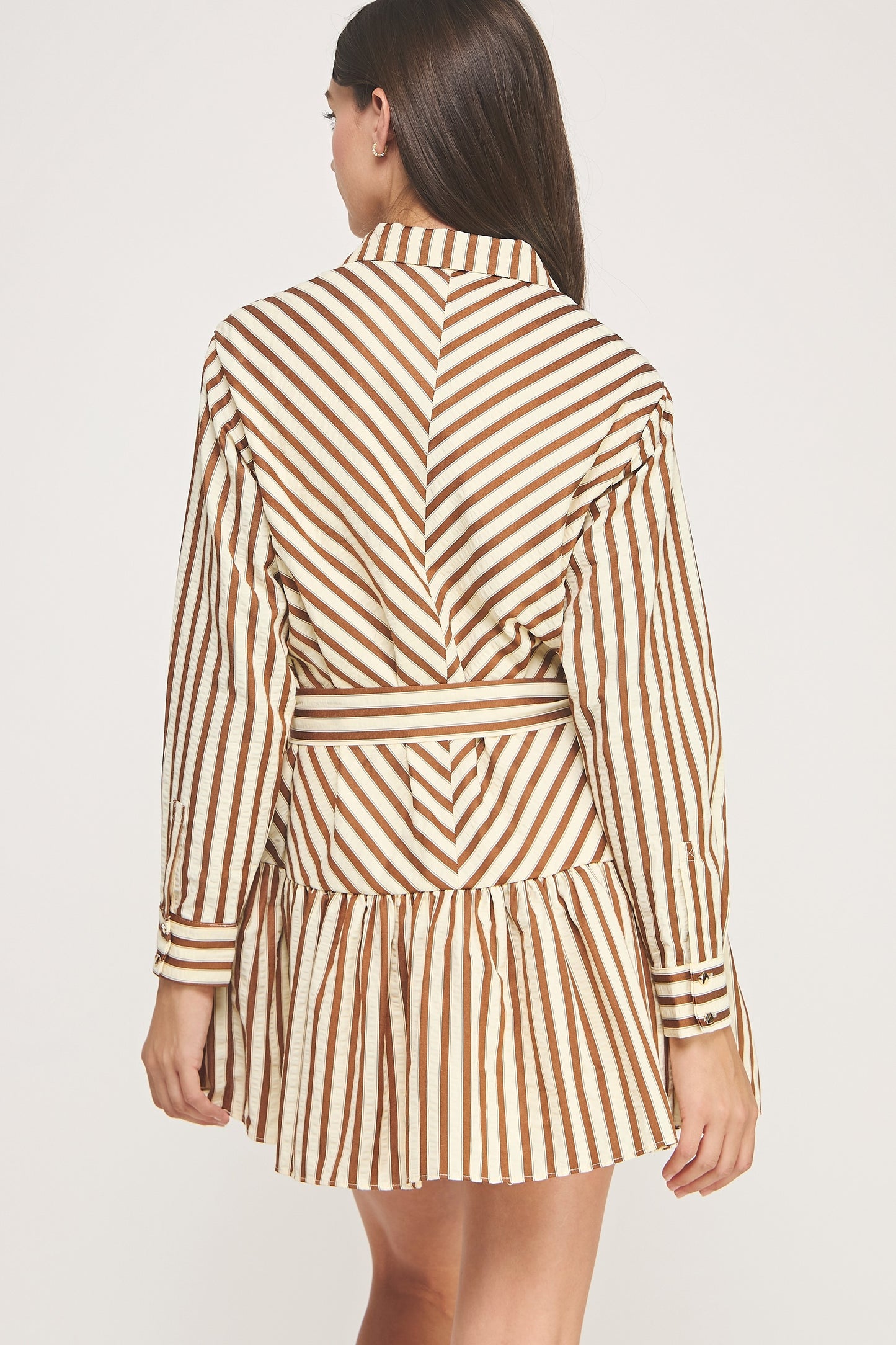 Striped Button Down Belted Dress